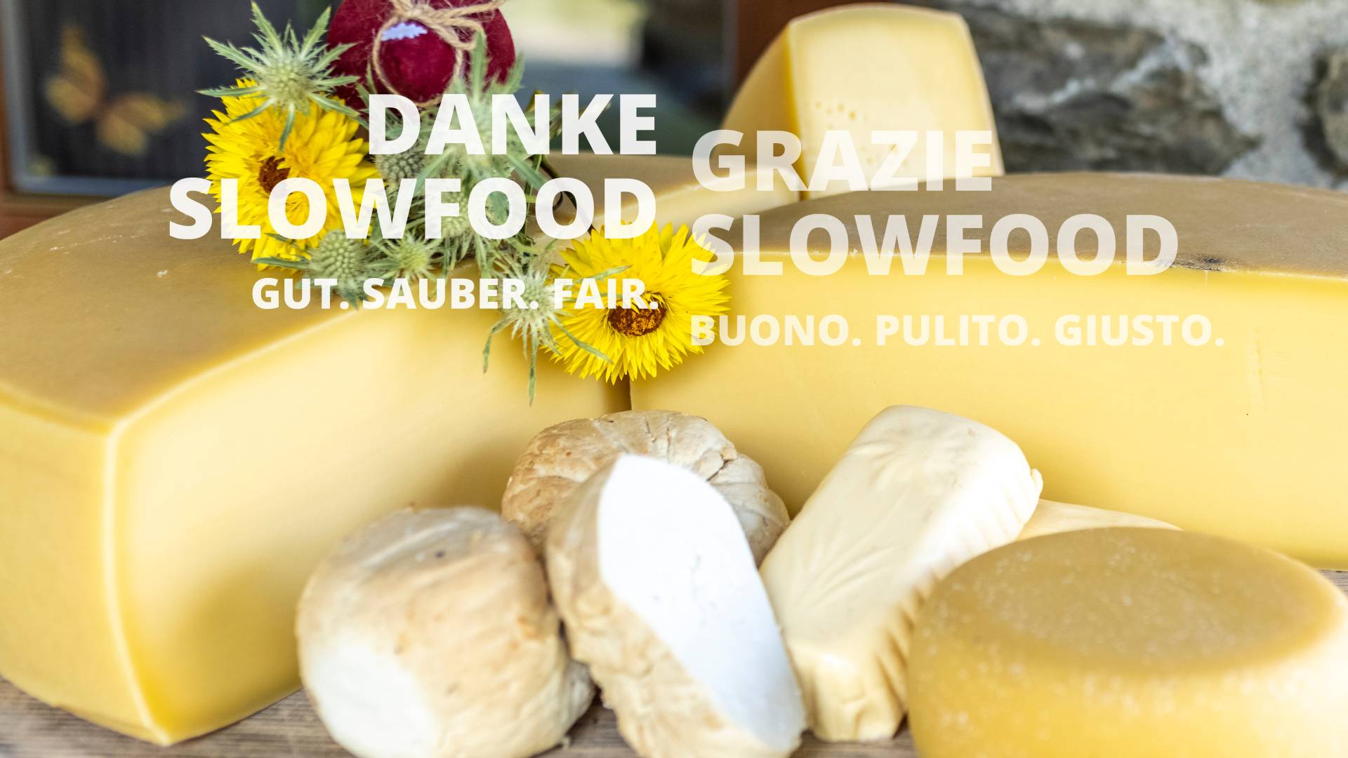 gailtaleralmkaesegu06