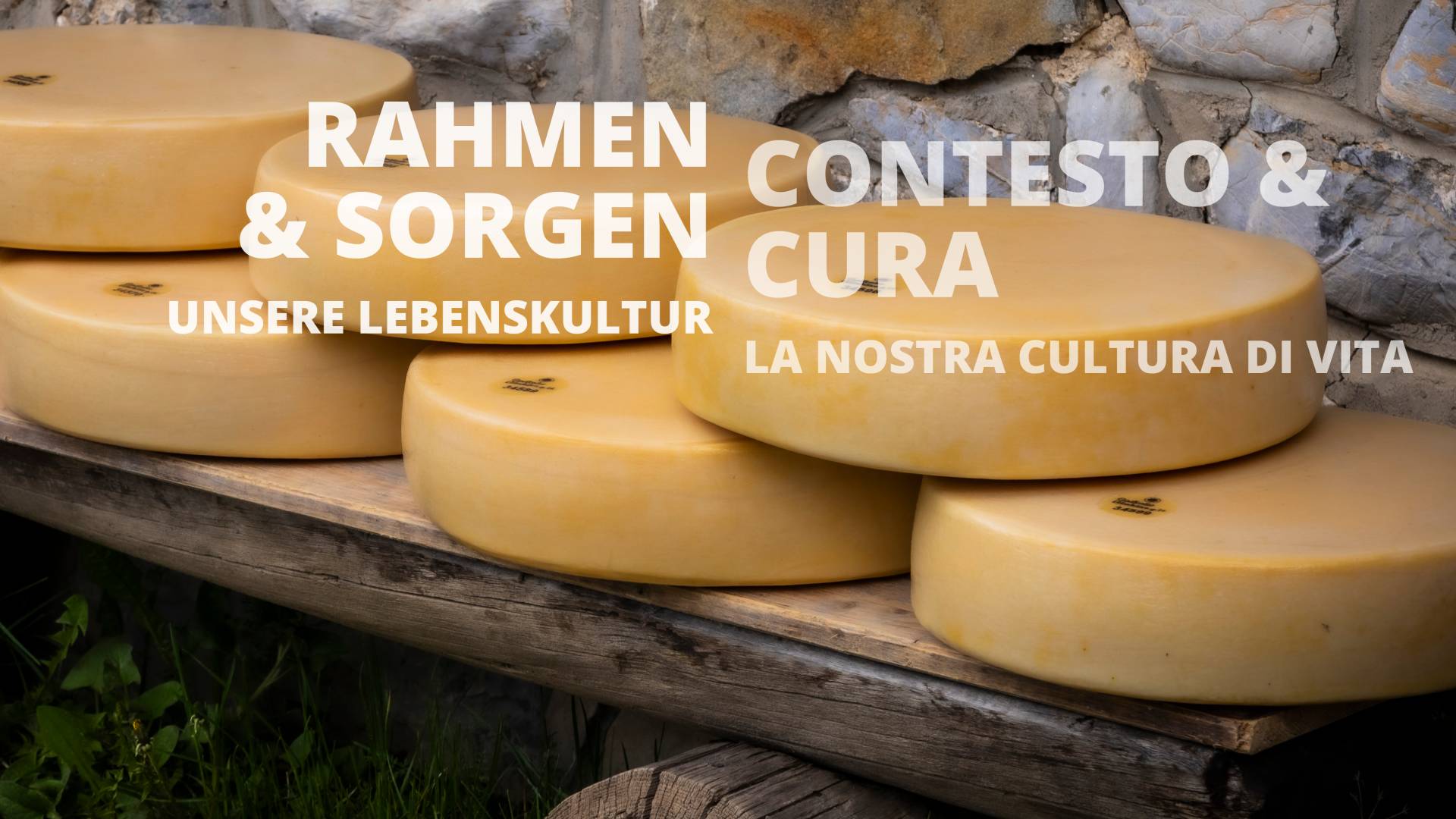 gailtaleralmkaesegu04