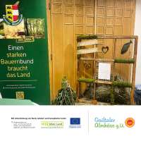 © Gailtaler Almkäse g.U. - gak_akp_09 260110_akp_bb