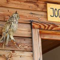 © Ingo Ortner, the Lounge interactive design GmbH - jochalm_11 260718_jochalm